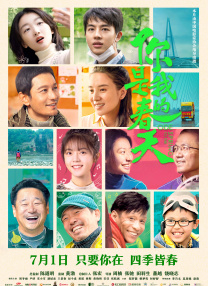 积积桶肤肤的免费软件大全app